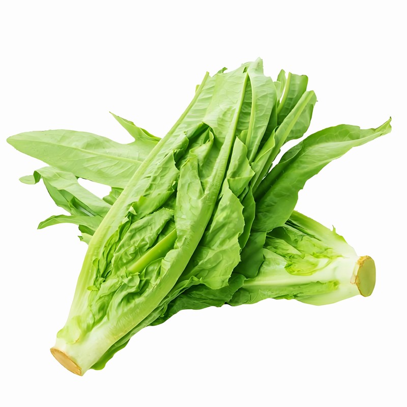 油麥菜